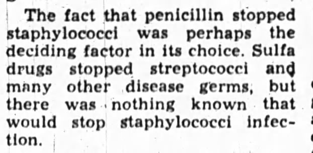 Penicillin stopped staphylococci growth