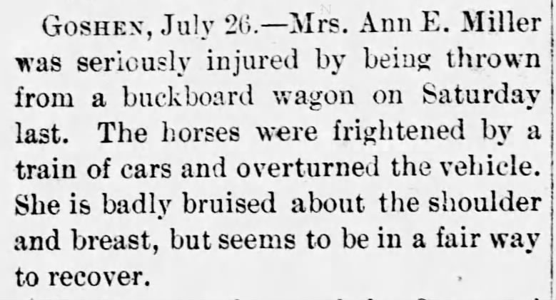 Woman thrown from buckboard wagon