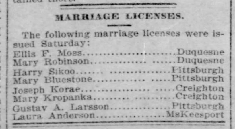 Marriage Licenses, Pittsburgh Commercial Gazette (Post-Gazette), 1895