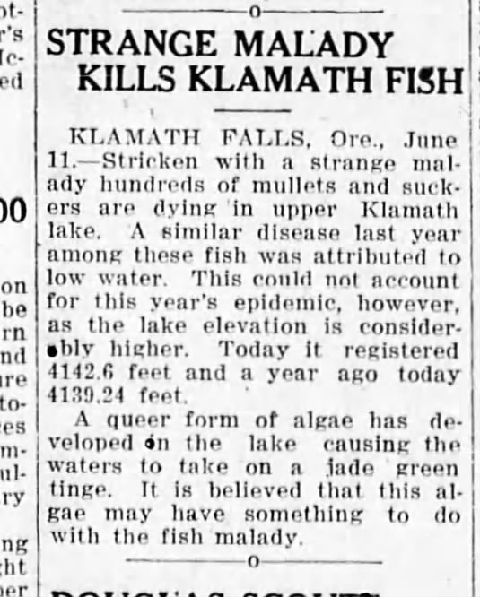 Low Water Levels Kill Klamath Mullets and Suckers - June 11, 1932