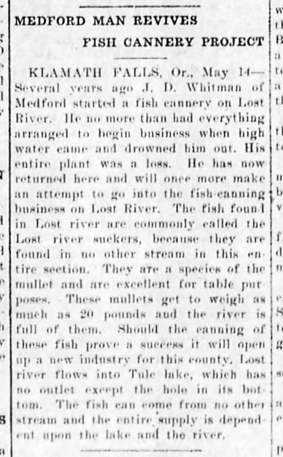 Fish Cannery Revived 1908