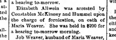 1891 November 10 Elizabeth Allwein arrest