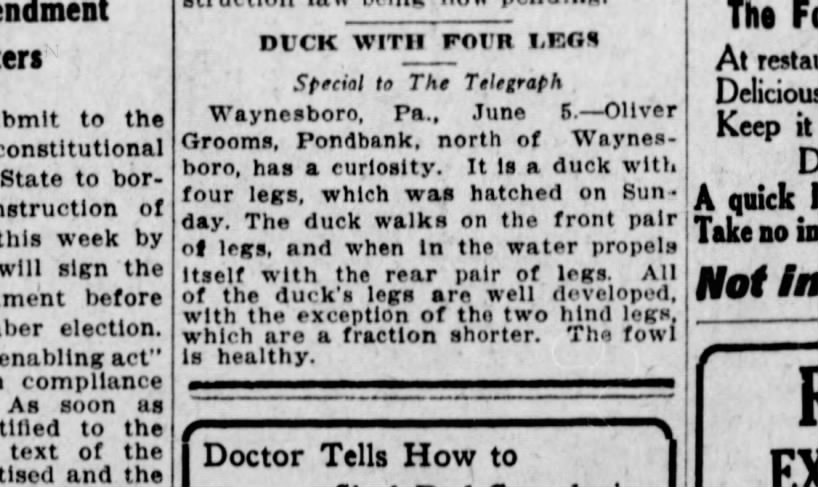 1913 June 5 Harrisburg Telegraph