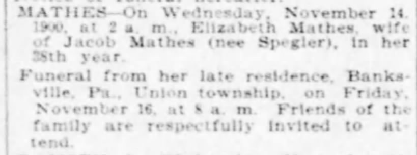 MATHIS (SPEICHER) Elizabeth - Death notice Pgh Daily Post Thu 15 Nov 1900 p5