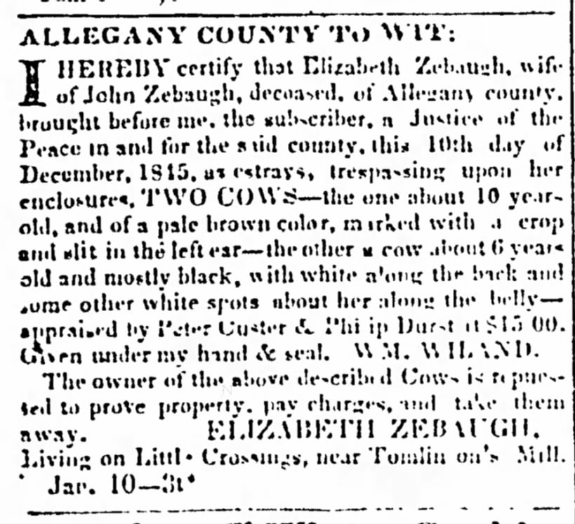 John Zebaugh entry in Democratic Alleganian 3-Jan-1846