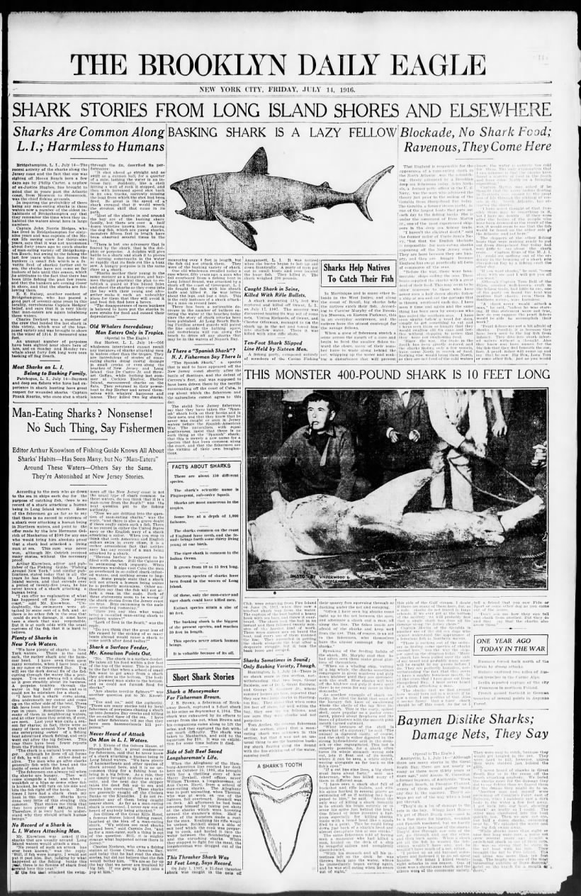 Long Island shark stories, 1916
