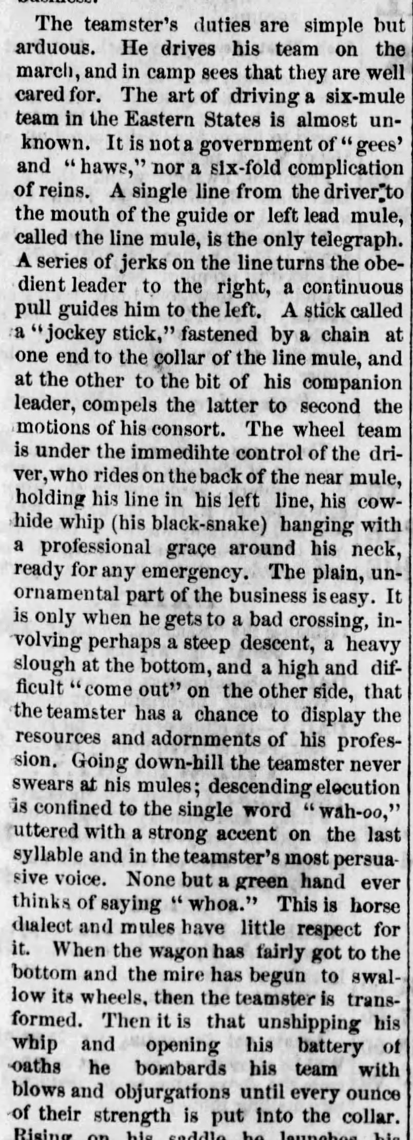 Description of a teamster's duties - 1875
