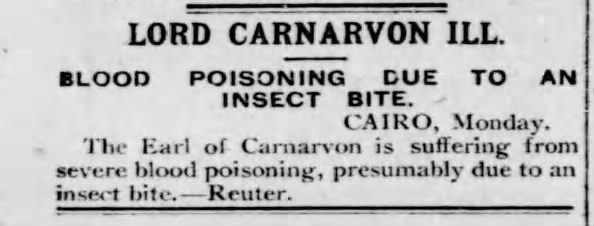 Insect causes infection for Lord Carnarvon 