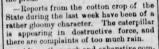 1876 cotton crop threatened by caterpillars