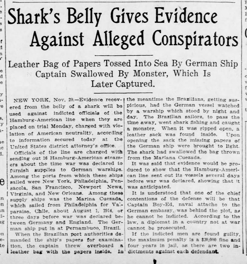 Shark's Belly Gives Evidence Against Alleged Conspirators, 1915