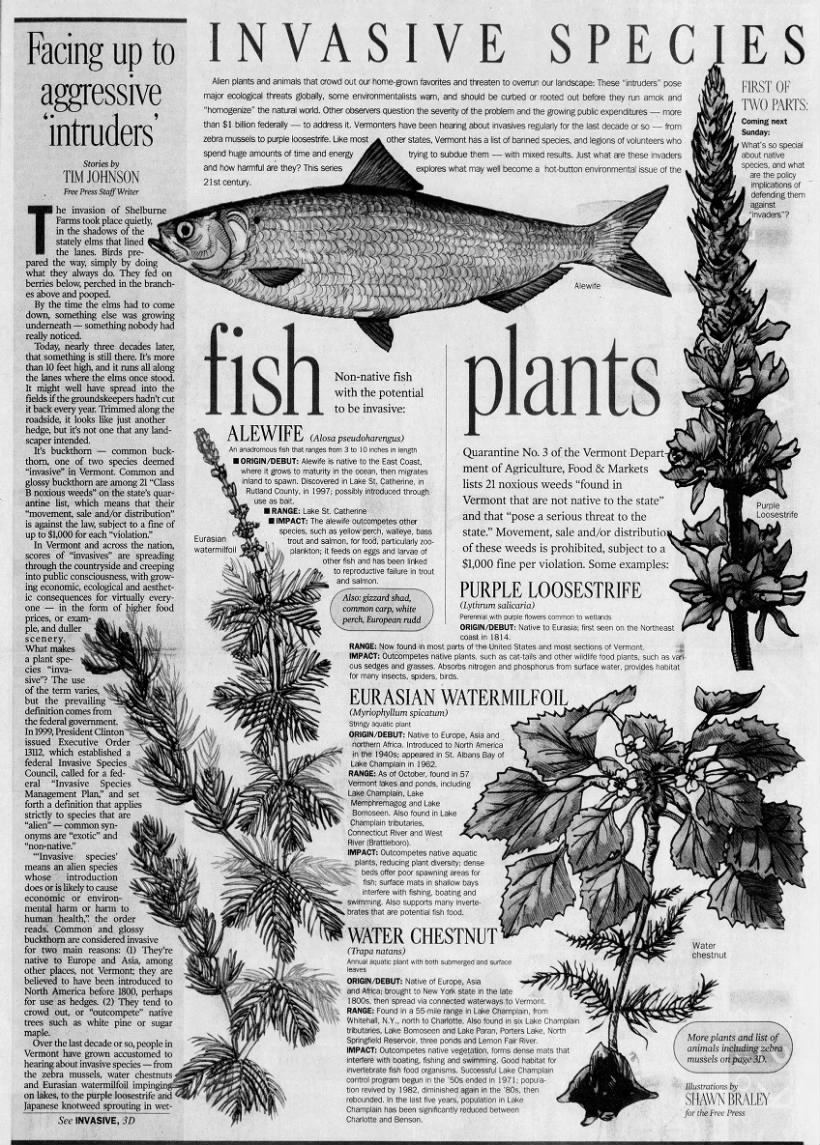 First page of Invasive Species article