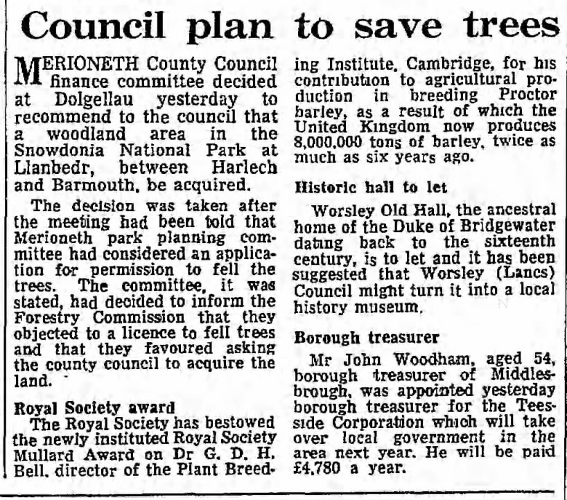 Council plan to save trees