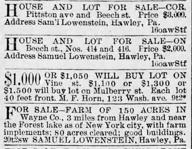 Samuel Lowenstein Real Estate 2.10.1894 ScrRep