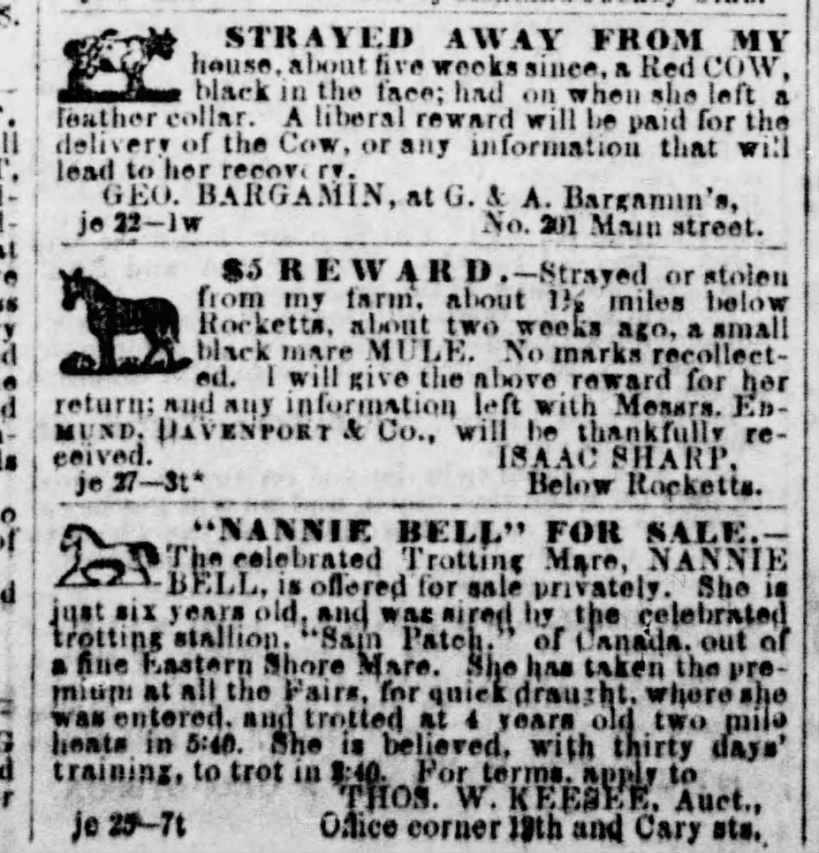 Newspaper letterpress blocks 2 horses 1 cow