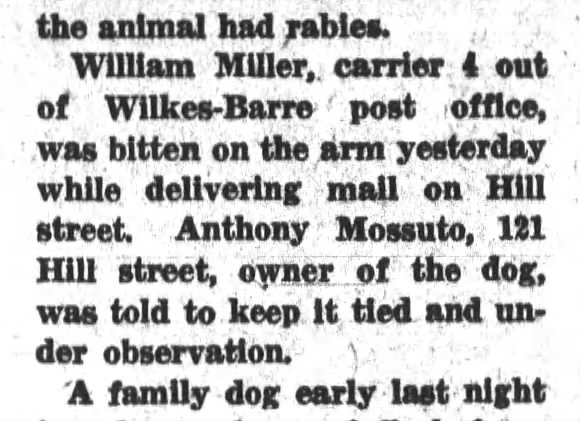 1932 Mossuto Dog bites Postman