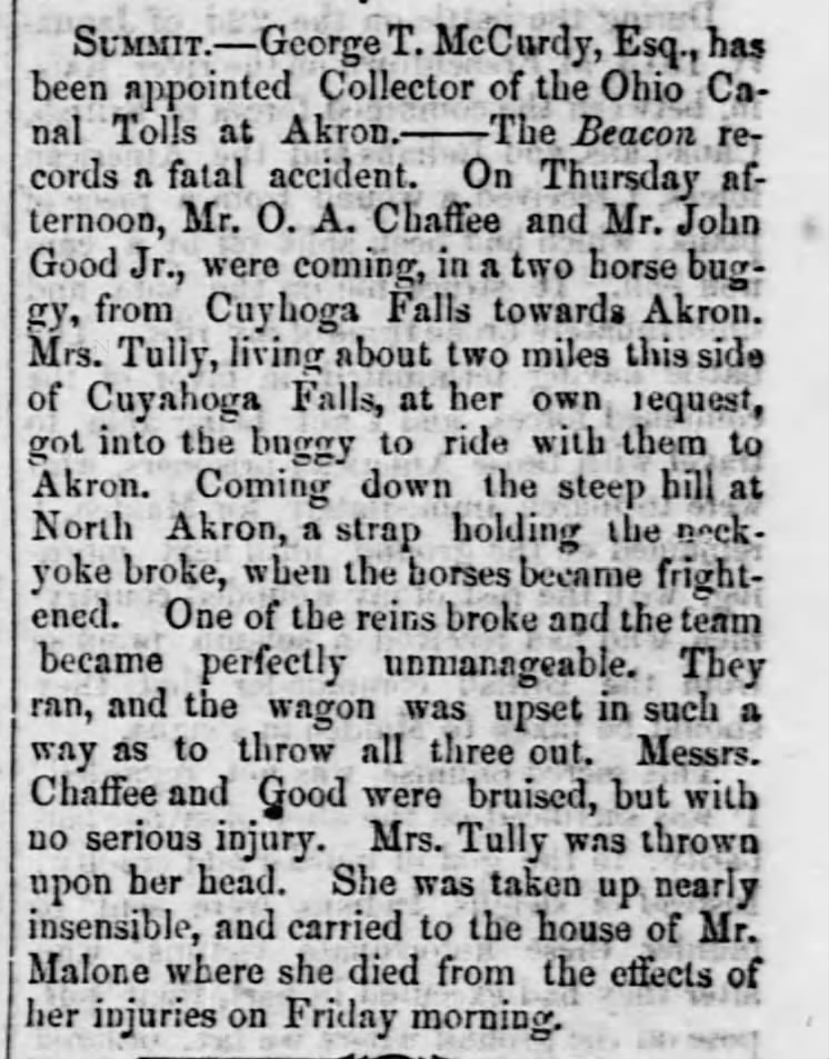 Mrs Mary Tully accident1859