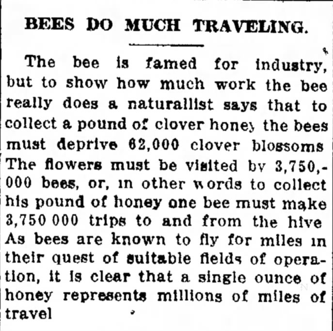 Bees do much Traveling