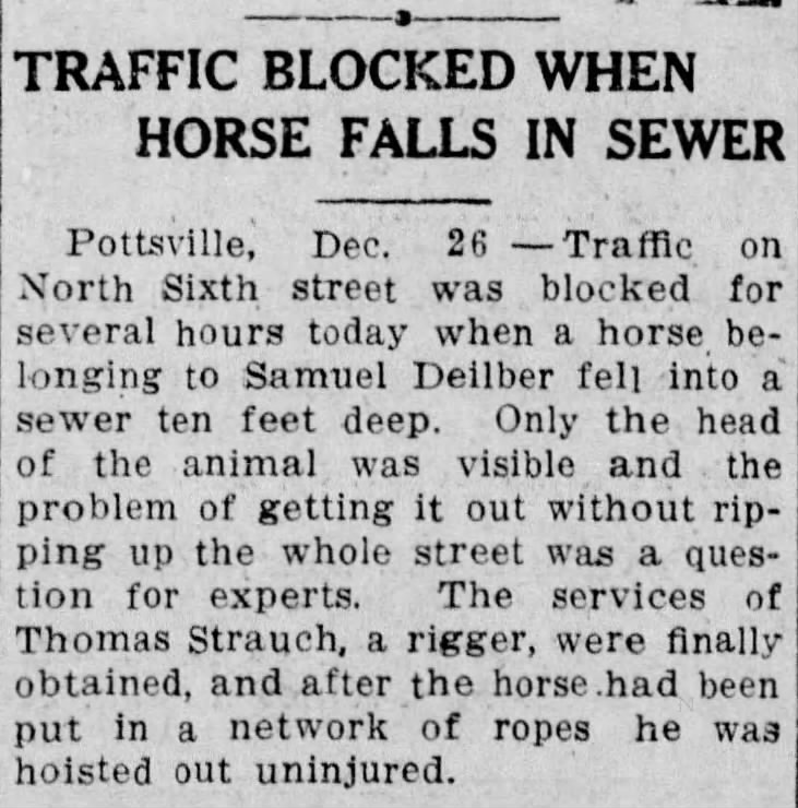 Amazing Horse anecdote from 1913