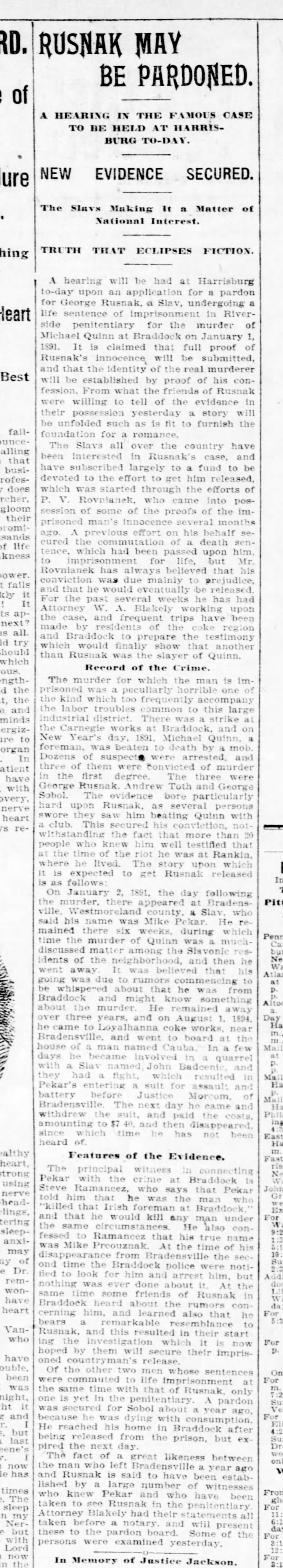 Pittsburgh Daily Post, November 26, 1895