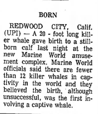 July 15, 1968
Arizona Republic
Phoenix, Arizona
Pg. 22