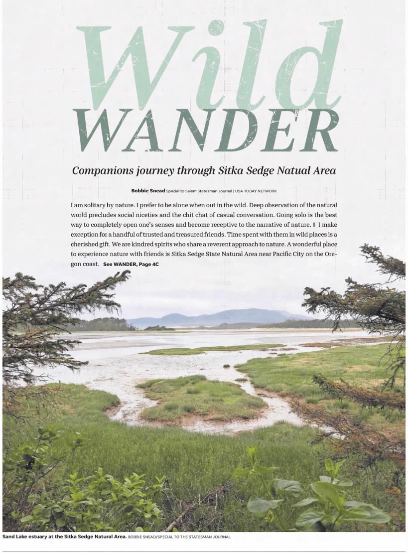 Wild Wander - Companions journey through Sitka Sedge Natural Area