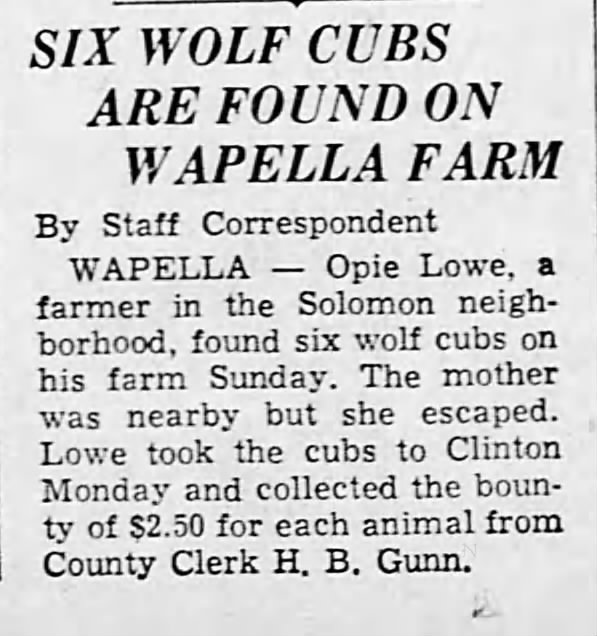 Wolf cubs at Wapella Farm 1939