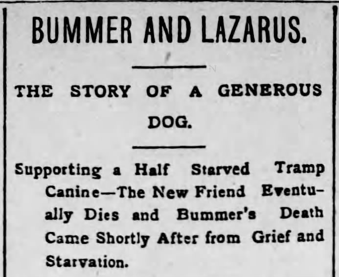 Bummer & Lazarus