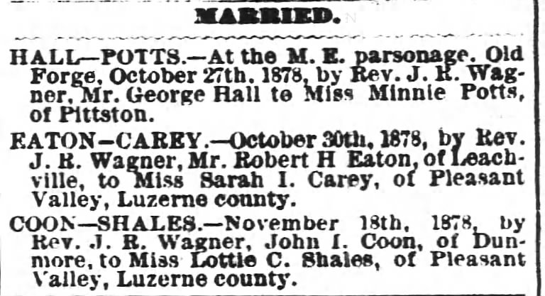 Marriages from 21 Nov 1878 including Hall-Potts, Eaton-Carey and Coon-Shales