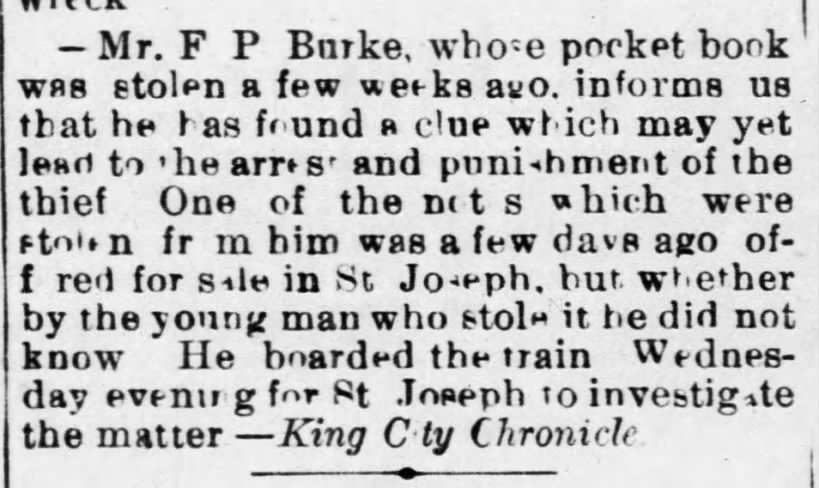 Stolen Pocket Book - F. P. Burke 1885