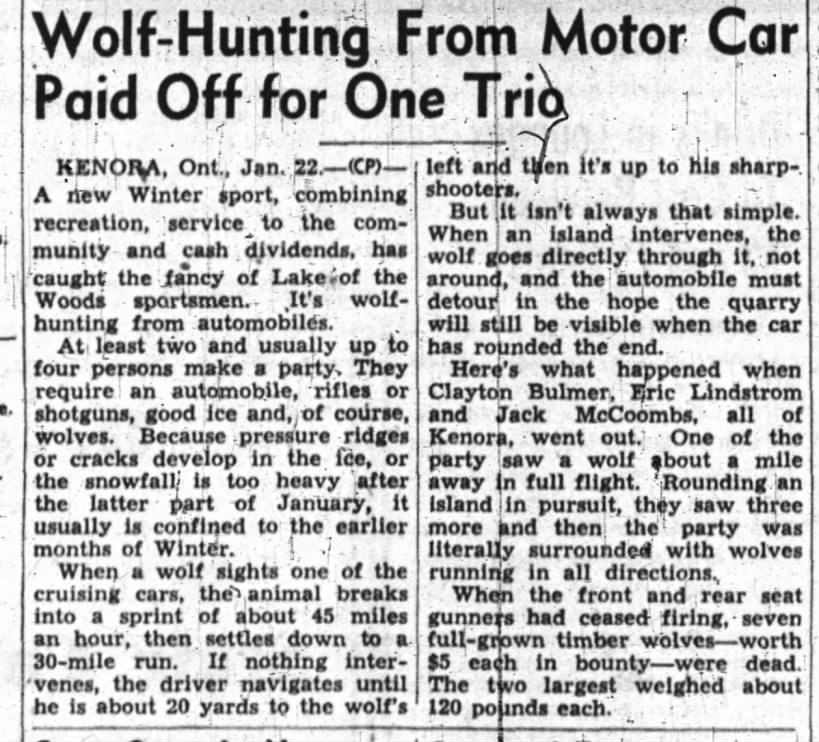 Kenora, Ontario January 1947 Clayton Bulmer, et al. shooting timber wolves at Lake of the Woods