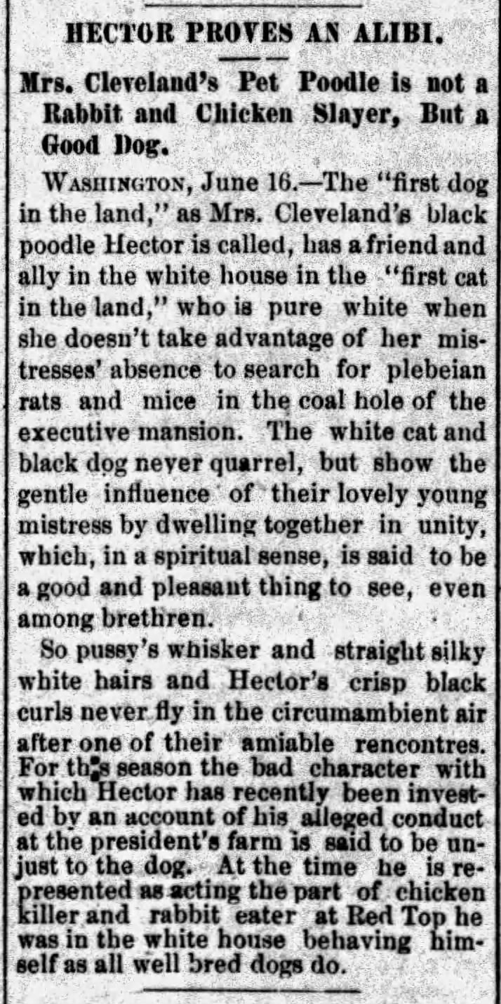 "First dog in the land" and "first cat in the land" (1887).