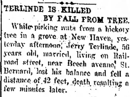 Terlinde, Jerry Killed Falling From Tree Hamilton Ohio, Butler County Democrat 21 Oct 1915