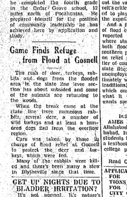 Game Finds Refuge from Flood at Gosnell