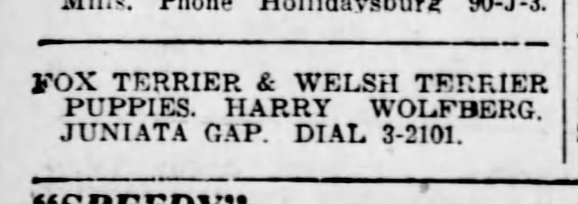 Harry selling terrier puppies-1 Nov 1940