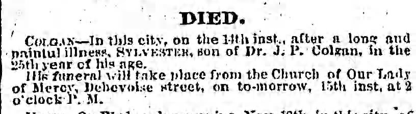The Brooklyn Daily Eagle (Brooklyn, New York) Friday, 14 November 1862, p. 3, column 3