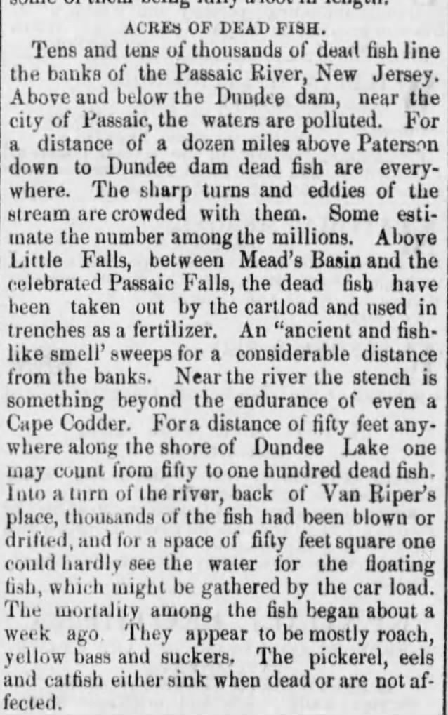 Dundee Dam Fish Story,  June 7, 1877 Reading Times PA