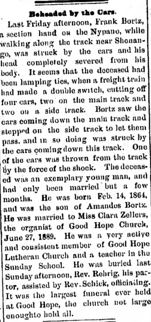 Bortz Shenango Valley News Greenville PA 21 Feb 1890