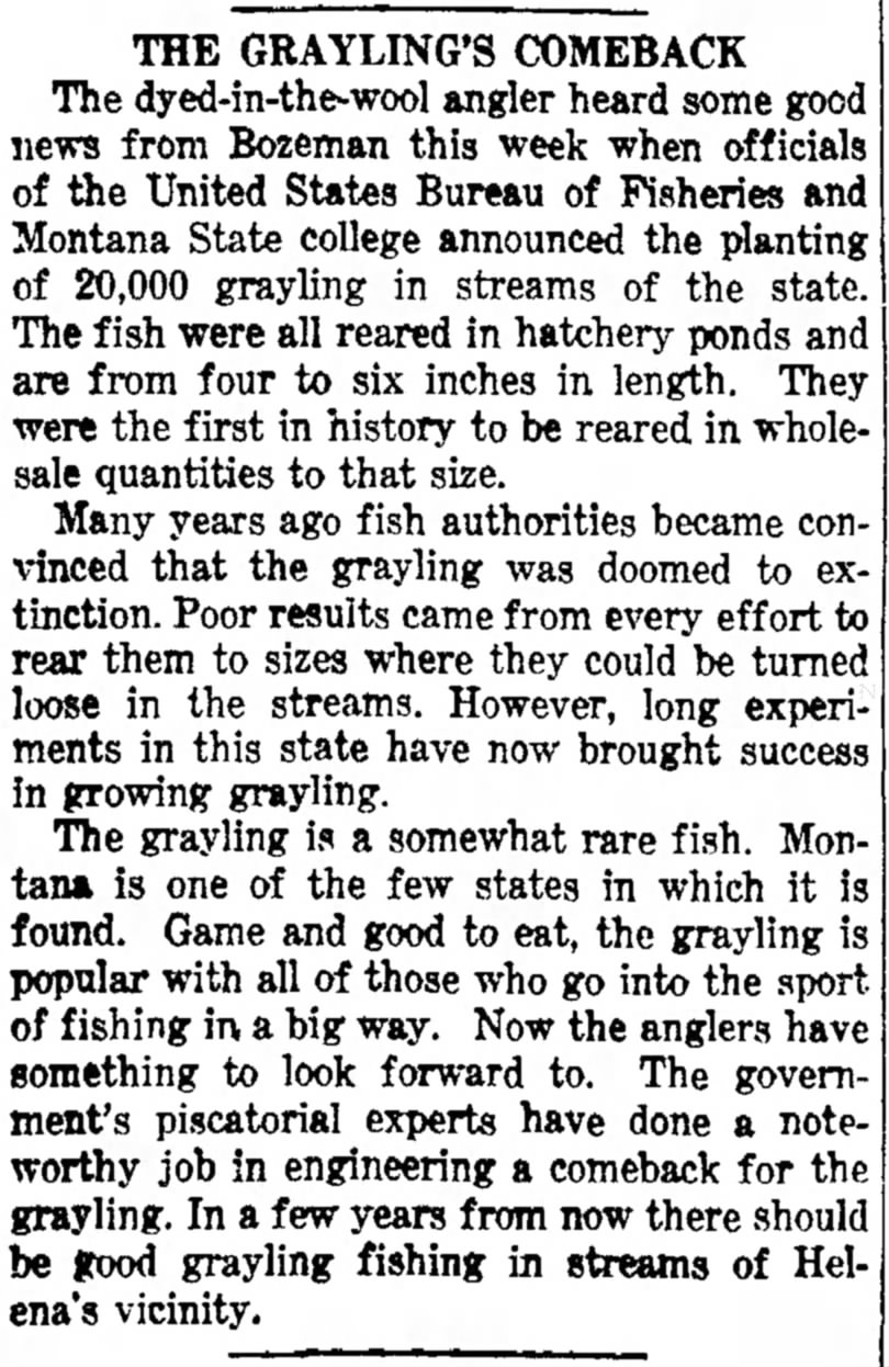1938 grayling hoped to improve w release of larger fish