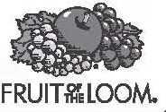 Fruit of the Loom Logo 2020