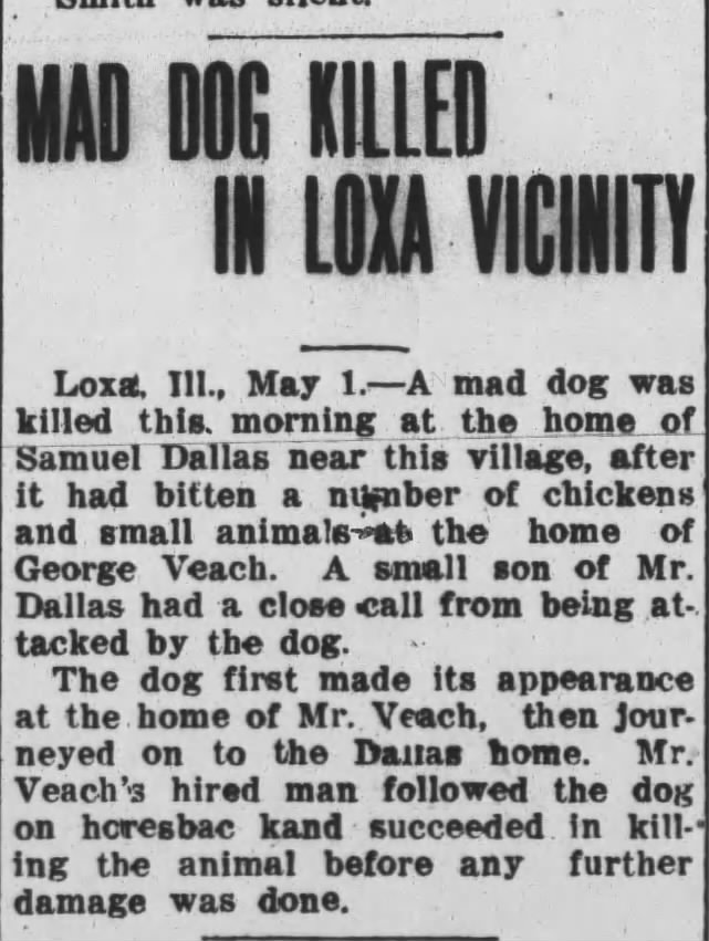 George Veach - Mad Dog in Loxa