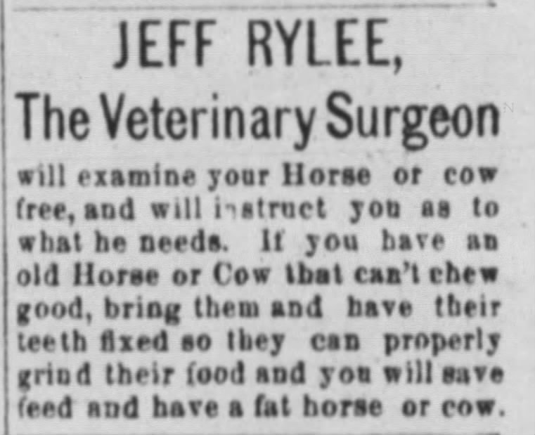 1904 Jeff Rylee veterinary surgeon