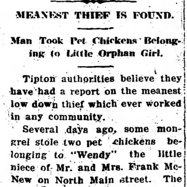 "Meanest Thief" Stole Chickens from Orphan Girl