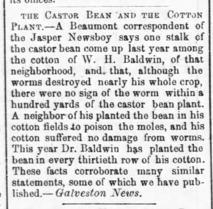 Castor Bean prevents worms in crops. 21 Jul 1869