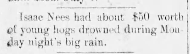 Isaac Nees Hogs Drowned Page 4 Column 1 (added)