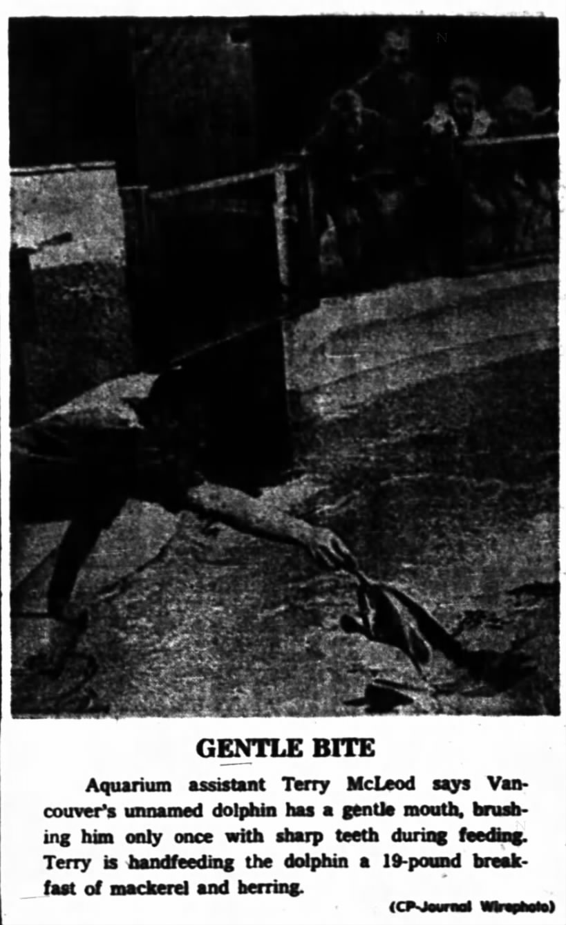 Sept 1966, Splasher's "gentle mouth", first week picture