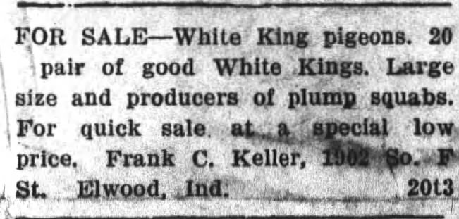 Frank C Keller selling pigeons