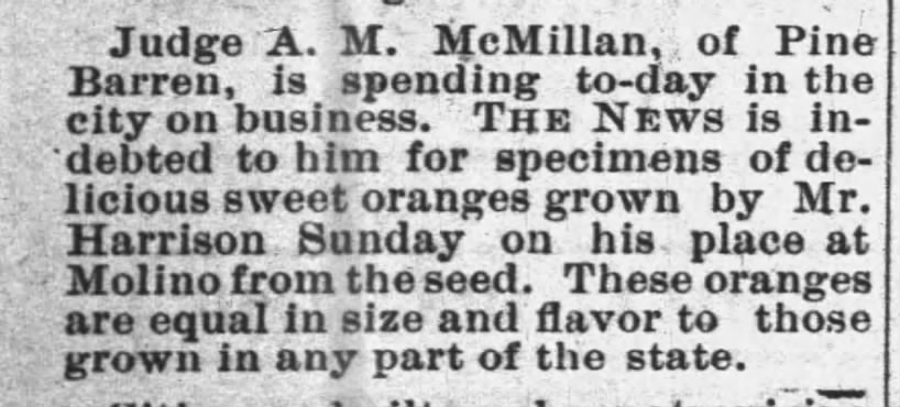 Harrison Sunday:  Grows "delicious sweet oranges"