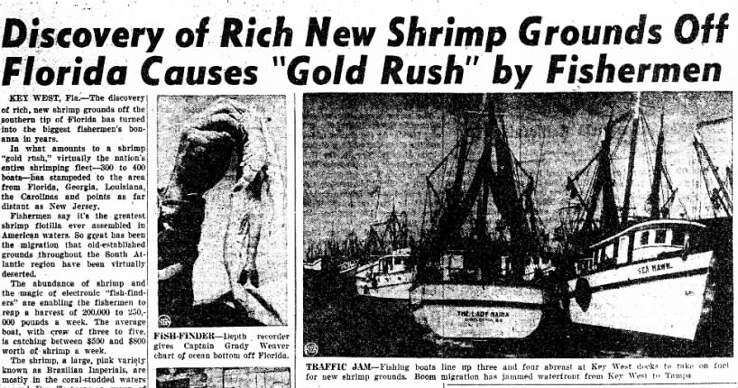 pink gold rush-california newspaper