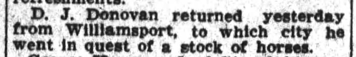 1906 D.J. Donovan purchasing horses in Williamsport