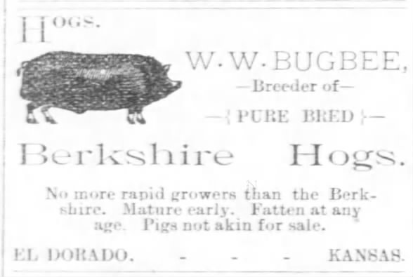 Bugbee Hog Breeding ad